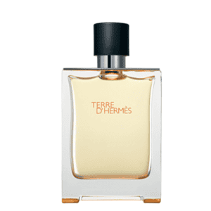 Terre d'Hermès Eau de Toilette - 100ml